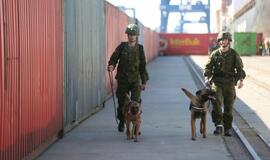 Šiandien - NATO laivų atvykimo diena