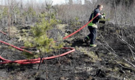 Ugniagesiai įspėja apie didėjantį miškų gaisringumą