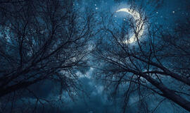 Antradienio horoskopas 12-ai zodiako ženklų