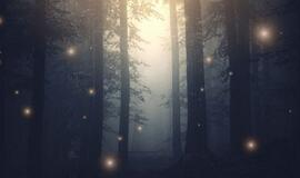 Penktadienio horoskopas 12-ai zodiako ženklų