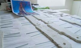 Kretingiškiai sukūrė miniatiūrinę istorinę Kretingą