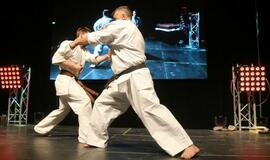 Karatė mokykla „Shodan“ atšventė 10 metų jubiliejų