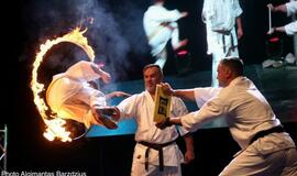 Karatė mokykla „Shodan“ atšventė 10 metų jubiliejų