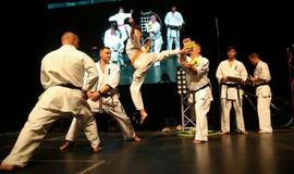 Karatė mokykla „Shodan“ atšventė 10 metų jubiliejų