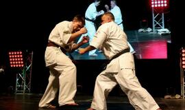 Karatė mokykla „Shodan“ atšventė 10 metų jubiliejų