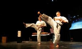 Karatė mokykla „Shodan“ atšventė 10 metų jubiliejų