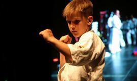 Karatė mokykla „Shodan“ atšventė 10 metų jubiliejų