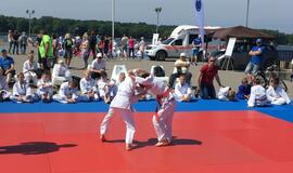 Sporto festivalis Klaipėdoje