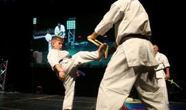 Karatė mokykla „Shodan“ atšventė 10 metų jubiliejų