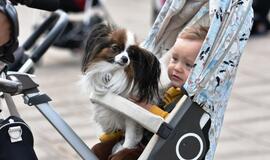 "Mamų fiesta": sportuoti galima bet kur