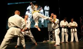 Karatė mokykla „Shodan“ atšventė 10 metų jubiliejų