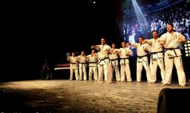 Karatė mokykla „Shodan“ atšventė 10 metų jubiliejų