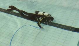 Oficialiai atidarytas Klaipėdos baseinas