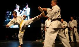 Karatė mokykla „Shodan“ atšventė 10 metų jubiliejų