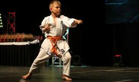 Karatė mokykla „Shodan“ atšventė 10 metų jubiliejų