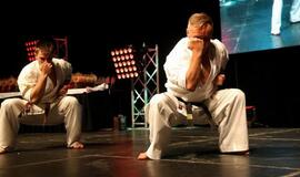 Karatė mokykla „Shodan“ atšventė 10 metų jubiliejų