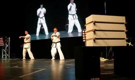 Karatė mokykla „Shodan“ atšventė 10 metų jubiliejų