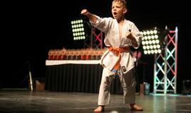 Karatė mokykla „Shodan“ atšventė 10 metų jubiliejų