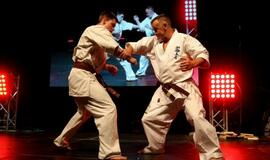 Karatė mokykla „Shodan“ atšventė 10 metų jubiliejų