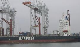 Statant išorinį Havro uostą įrengta sala paukščiams