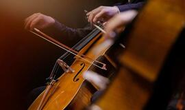 Violončelės akademija kviečia į nemokamus koncertus