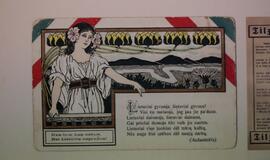 Senuosius laikraščius išsaugojusi knyga