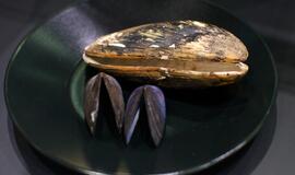 Klaipėdos „Akropolyje“ Jūrų muziejus kviečia aplankyti.... Jūros stalą