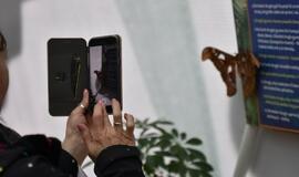 Atogrąžų drugeliams Smiltynėje sukūrė tropikus