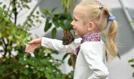 Atogrąžų drugeliams Smiltynėje sukūrė tropikus