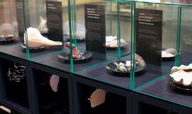 Klaipėdos „Akropolyje“ Jūrų muziejus kviečia aplankyti.... Jūros stalą