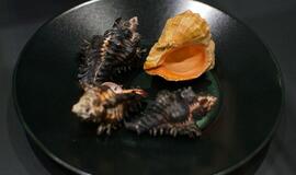 Klaipėdos „Akropolyje“ Jūrų muziejus kviečia aplankyti.... Jūros stalą