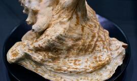 Klaipėdos „Akropolyje“ Jūrų muziejus kviečia aplankyti.... Jūros stalą