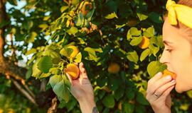 Sekmadienio horoskopas 12-ai zodiako ženklų