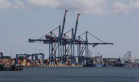 Kas tos mėlynosios "žirafos" uoste?