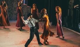 „Graikas Zorba“: žemė pajūryje juda sirtakio ritmu