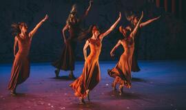 „Graikas Zorba“: žemė pajūryje juda sirtakio ritmu