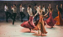 „Graikas Zorba“: žemė pajūryje juda sirtakio ritmu