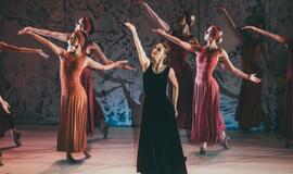 „Graikas Zorba“: žemė pajūryje juda sirtakio ritmu