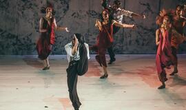 „Graikas Zorba“: žemė pajūryje juda sirtakio ritmu