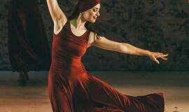 „Graikas Zorba“: žemė pajūryje juda sirtakio ritmu