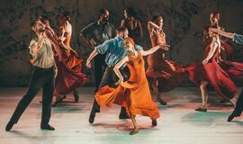 „Graikas Zorba“: žemė pajūryje juda sirtakio ritmu