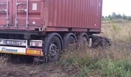 Vilkikas sankryžoje nuvažiavo nuo kelio