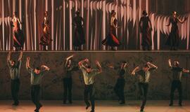 „Graikas Zorba“: žemė pajūryje juda sirtakio ritmu