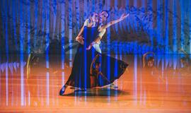 „Graikas Zorba“: žemė pajūryje juda sirtakio ritmu