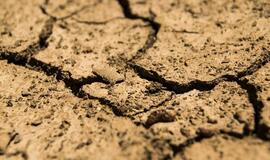 Termometrų stulpeliai pasieks neregėtas aukštumas