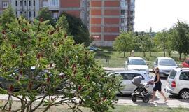 Atvyko laboratorija iš Vilniaus: imami "pirštų atspaudai"