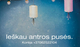 „Dviejų Korėjų susijungimas“: Ką reiškia (ne)meilė?