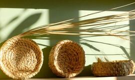 Gorčiaus saikas, arba Kai litro nebuvo