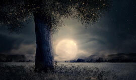 Penktadienio horoskopas 12-ai zodiako ženklų