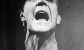 Klaipėdos akvarelės: namai ir žmonės (550)